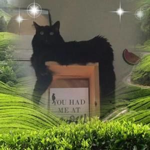 Meet your Posher, Tracy